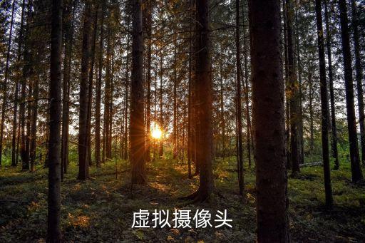 虛擬攝像頭