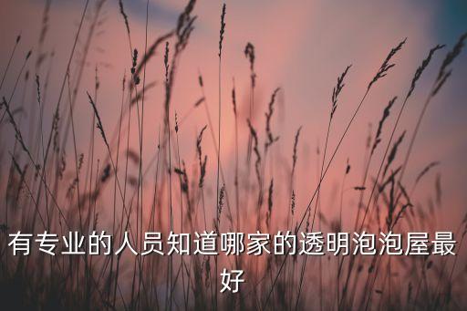 有專業(yè)的人員知道哪家的透明泡泡屋最好