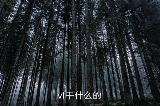 vf干什么的
