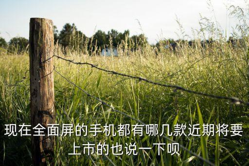 現(xiàn)在全面屏的手機都有哪幾款近期將要上市的也說一下唄
