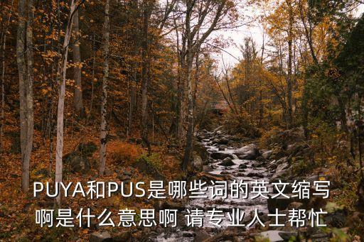 puya，雙人旁的扁讀什么