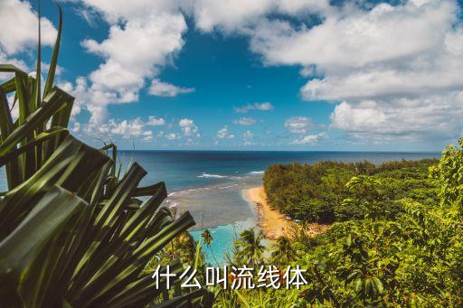 什么叫流線體