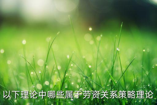 以下理論中哪些屬于勞資關(guān)系策略理論