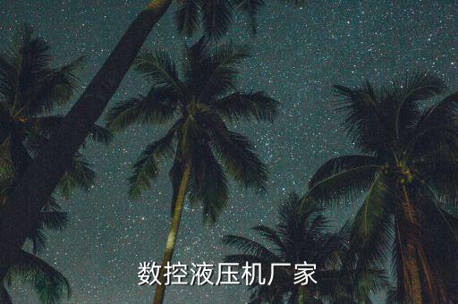 先進(jìn)的液壓自動(dòng)化設(shè)備,壓鑄邊邊自動(dòng)化設(shè)備生產(chǎn)廠家怎么樣?