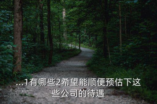 ...1有哪些2希望能順便預(yù)估下這些公司的待遇