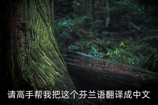 請高手幫我把這個芬蘭語翻譯成中文