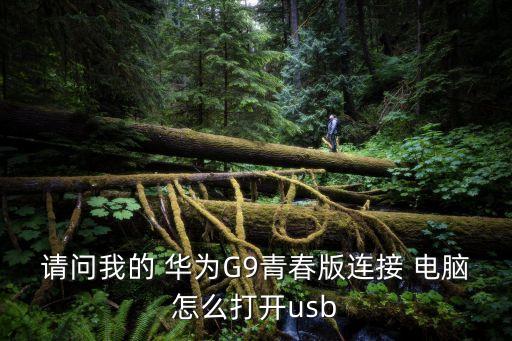 請(qǐng)問我的 華為G9青春版連接 電腦怎么打開usb