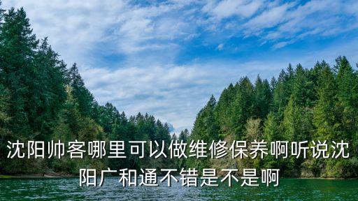 廣和通，沈陽(yáng)帥客哪里可以做維修保養(yǎng)啊聽(tīng)說(shuō)沈陽(yáng)廣和通不錯(cuò)是不是啊