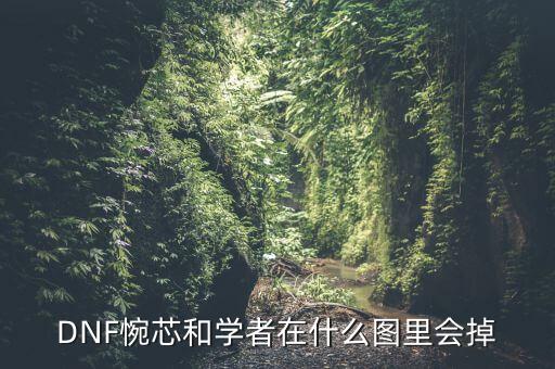 DNF惋芯和學(xué)者在什么圖里會(huì)掉