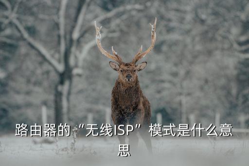 isp是什么意思,網(wǎng)絡(luò)連接的isp是什么意思?