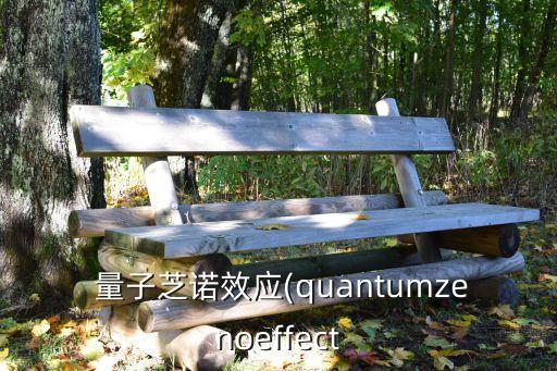  量子芝諾效應(quantumzenoeffect