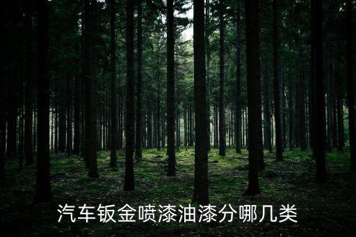 自動化設(shè)備鈑金配色方案,汽車鈑金噴漆自動化設(shè)備