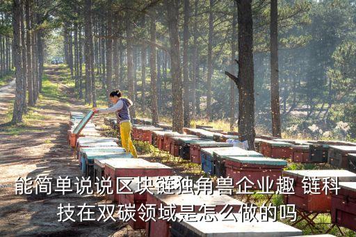 能簡單說說區(qū)塊鏈獨角獸企業(yè)趣 鏈科技在雙碳領域是怎么做的嗎