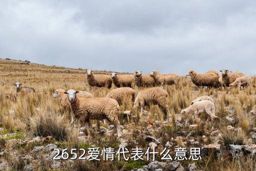 2652愛(ài)情代表什么意思