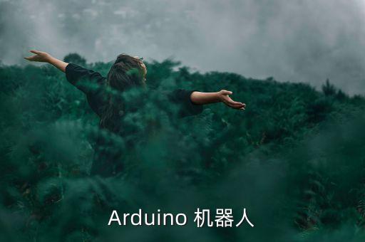 estun機(jī)器人，arduino怎么做機(jī)器人