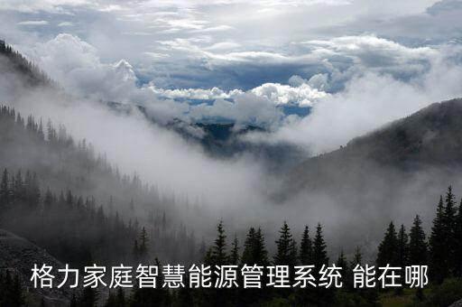 智慧能源管理平臺(tái)，有什么平臺(tái)可以提供一種智能運(yùn)營管理電力的服務(wù)啊