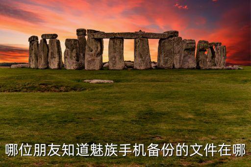 哪位朋友知道魅族手機(jī)備份的文件在哪