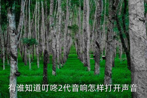 有誰(shuí)知道叮咚2代音響怎樣打開聲音