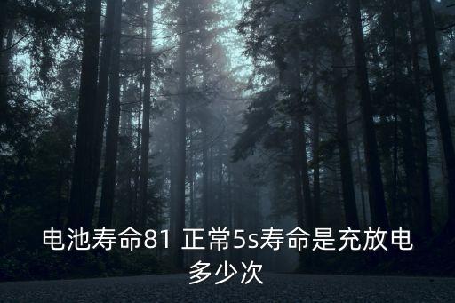 電池壽命81 正常5s壽命是充放電多少次