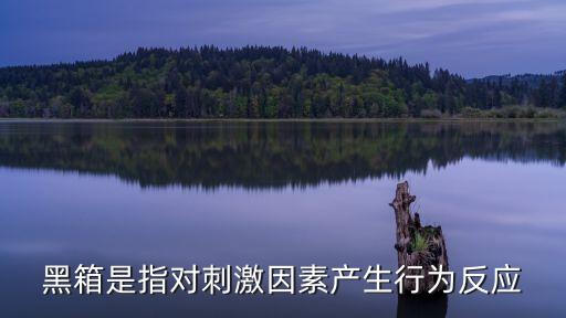 黑箱是指對刺激因素產(chǎn)生行為反應