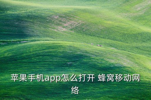 蘋果手機app怎么打開 蜂窩移動網(wǎng)絡(luò)