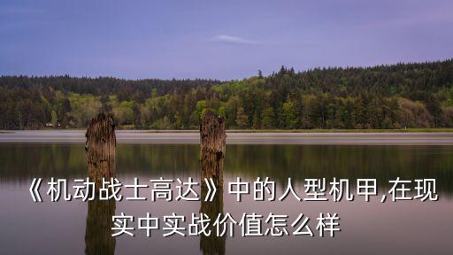 《機動戰(zhàn)士高達》中的人型機甲,在現(xiàn)實中實戰(zhàn)價值怎么樣