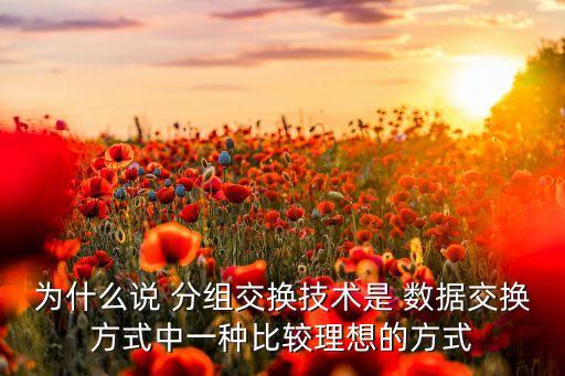為什么說 分組交換技術(shù)是 數(shù)據(jù)交換方式中一種比較理想的方式