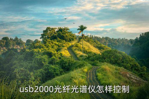 海洋光學(xué)，usb2000光纖光譜儀怎樣控制