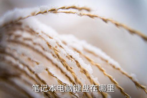 筆記本電腦鍵盤(pán)，筆記本電腦鍵盤(pán)簡(jiǎn)介