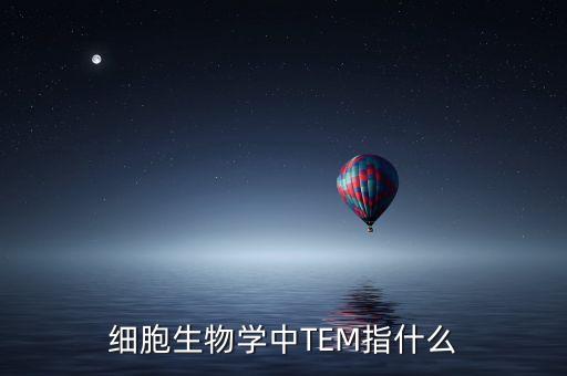 TEM，什么是TEM波