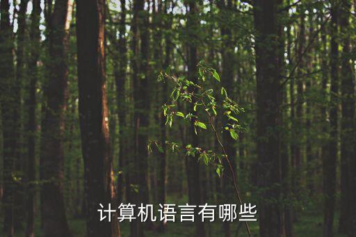 計算機語言有哪些