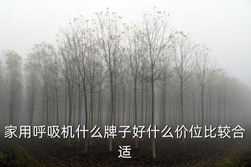 家用呼吸機，家用呼吸機什么牌子好什么價位比較合適
