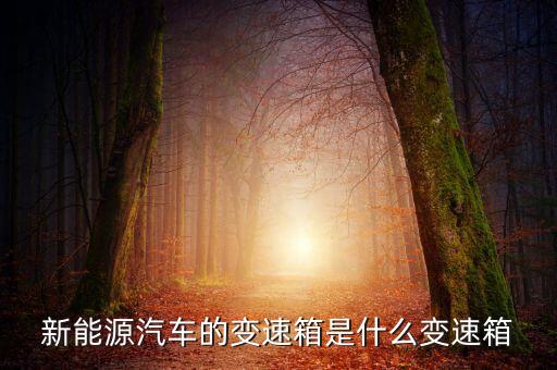 新能源汽車的變速箱是什么變速箱
