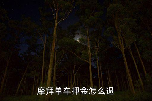 摩拜數(shù)據(jù)報(bào)告,拜登單車(chē)押金怎么退?