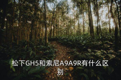 松下GH5，佳能80d和松下gh5哪個