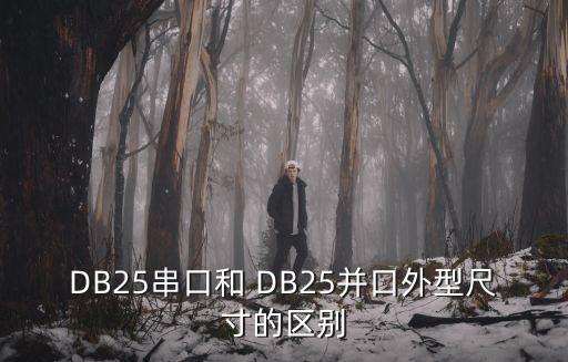 db25，DB25是并口嗎