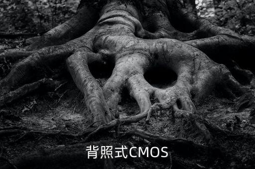 背照式CMOS