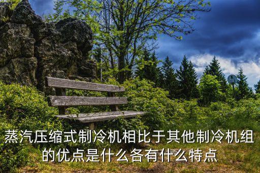 蒸汽壓縮式制冷機(jī)相比于其他制冷機(jī)組的優(yōu)點(diǎn)是什么各有什么特點(diǎn)