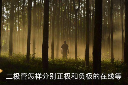 二極管怎樣分別正極和負極的在線等