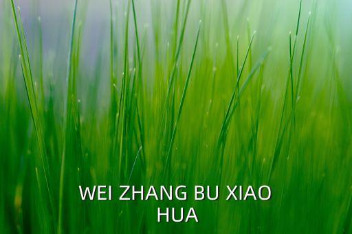 力維，什么是力維板力維板和現(xiàn)有的中密度板刨花板有什么本質(zhì)的區(qū)別