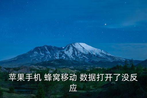 iphone 蜂窩數(shù)據(jù)