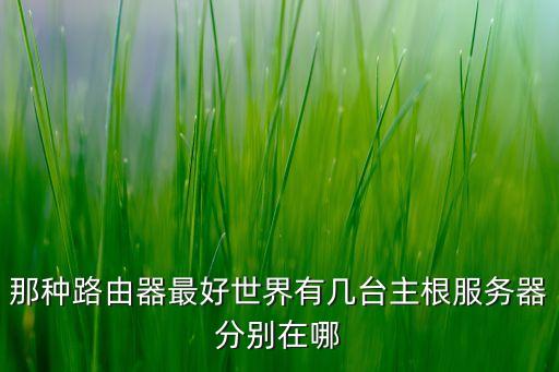 那種路由器最好世界有幾臺主根服務(wù)器分別在哪