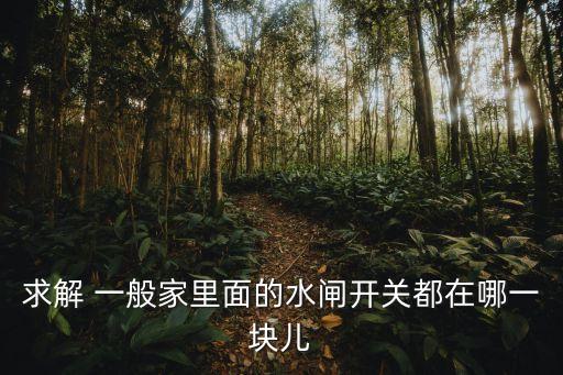 求解 一般家里面的水閘開關都在哪一塊兒
