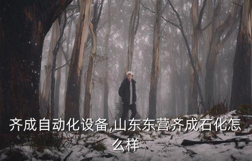 東莞齊成自動化設備,山東東營齊成石化怎么樣