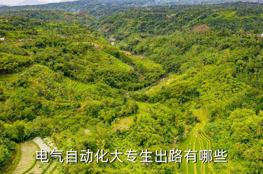 電氣自動(dòng)化?？坪镁蜆I(yè)么,?？齐姎庾詣?dòng)化技術(shù)專業(yè)就業(yè)前景好