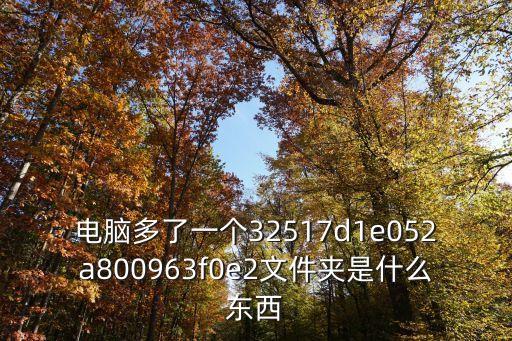 052a，電腦多了一個32517d1e052a800963f0e2文件夾是什么東西