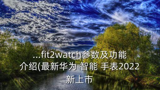 ...fit2watch參數(shù)及功能介紹(最新華為 智能 手表2022新上市
