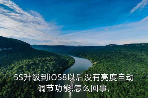 5S升級到iOS8以后沒有亮度自動調(diào)節(jié)功能,怎么回事,