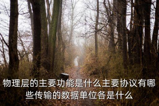 物理層的主要功能，物理層的主要功能是什么主要協(xié)議有哪些傳輸?shù)臄?shù)據(jù)單位各是什么