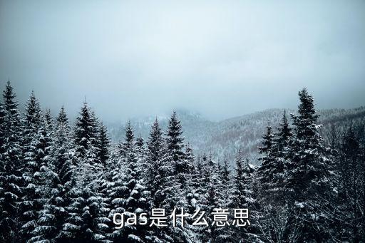 gas，gas是什么意思